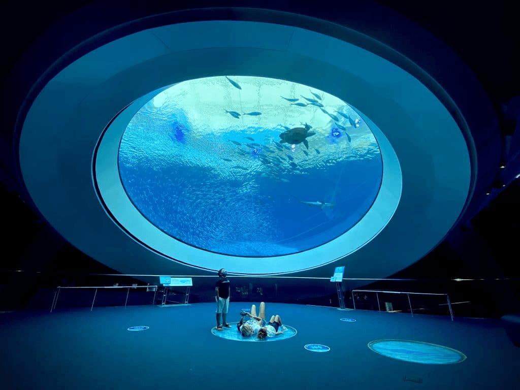 Phillip and Patricia Frost Museum of Science